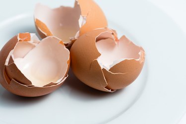 Broken Eggshells on a White Plate