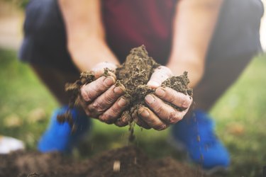 Senior woman holding soil in her hands