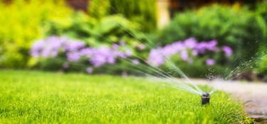 automatic sprinkler system watering the lawn