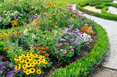 DESIGNING A GARDEN FOR NON-STOP COLOR Plaids And Poppies, 50% OFF