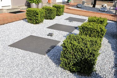 Modern front garden