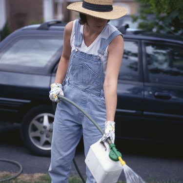 Woman using fertilizer with hose in yard