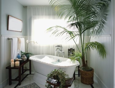 Bubble bath with potted plants