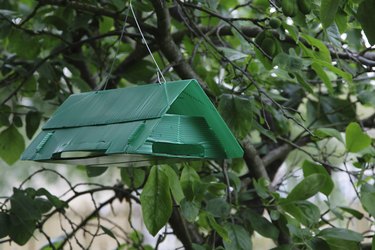 Mr. Knuckle's Home Remedies - Homemade Pantry Moth Trap 