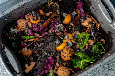 Apartment composting in a bin, using kitchen food scraps and worm vermiculture