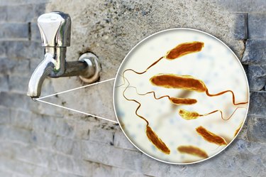 Illustration of drinking water with pathogens.