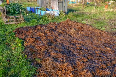 Manure heap in the allotment garden.