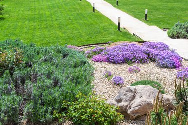 alpine garden and sloped lawn with path