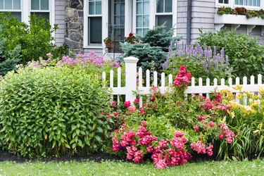 Garden and white picket fence with New England style house in background