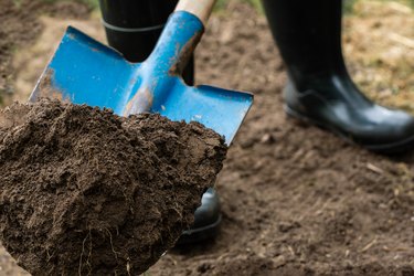 Worker digs the black soil with shovel  in the garden