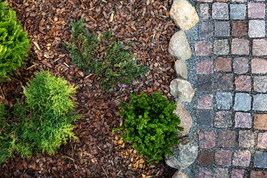 How to Remove Tree Roots Under Pavers