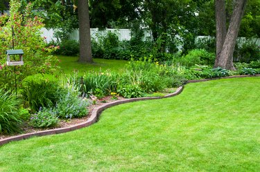 Backyard garden and Lawn