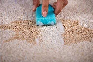 Janitor Cleaning Stain On Carpet