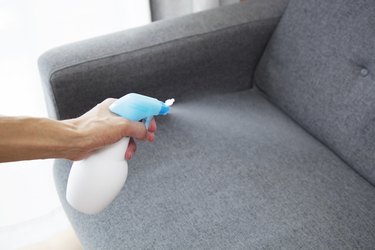 How to disinfect sofa after flu? - De Hygienique