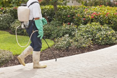 Pest control technician using portable spray rig