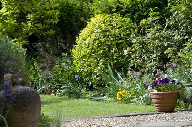 Cottage garden