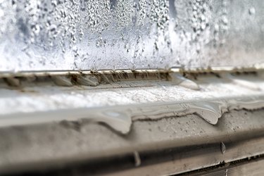 Mold and dirt on window