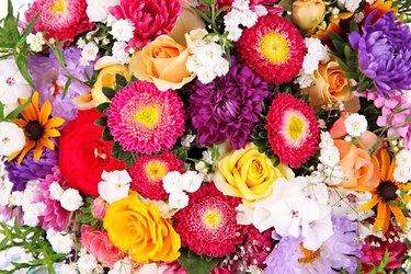 Bright flowers close-up.