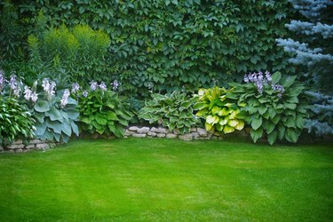 Beautiful garden with green grass