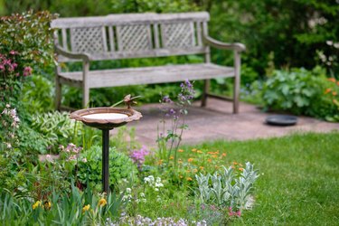 Idyllic green springtime garden with bench and bird bath