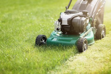 Lawn mower and online mulcher