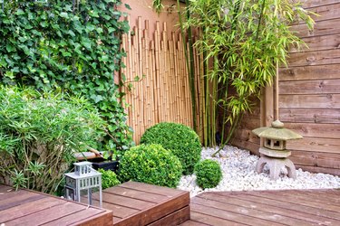 Best Bamboo Plants for Japanese Zen Gardens – Lewis Bamboo