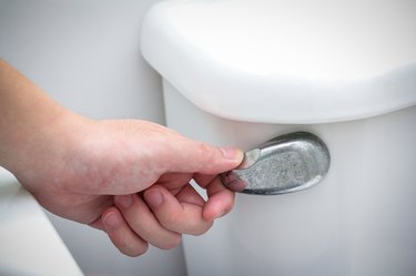 flush toilet