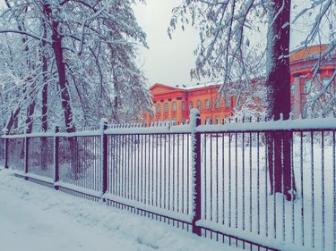 Red building of Kiev State University snow-covered