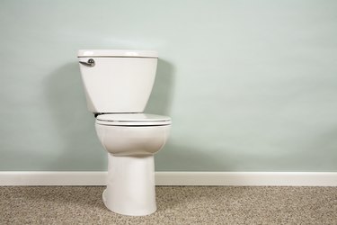 How to Snake a Toilet (DIYer's Guide) - Bob Vila