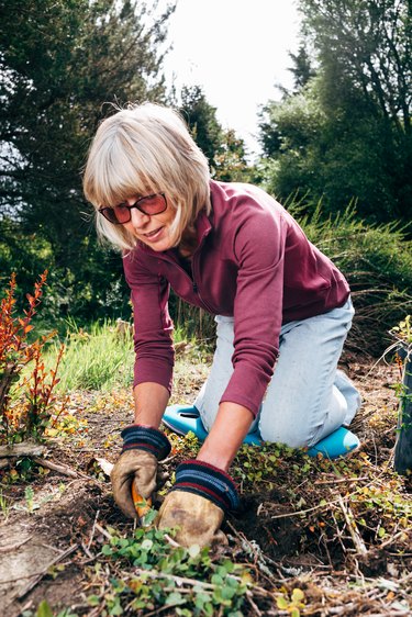 Active senior woman weeding her garden