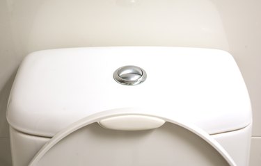 Toilet button