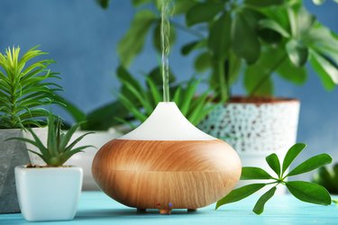 Aroma oil diffuser and plants on table