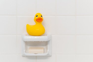 Rubber Duck in Shower