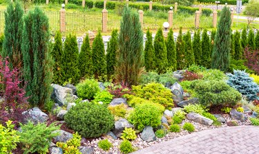 Landscape design with plants and flowers at residential house