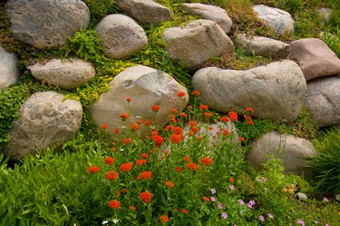 Rock Wall and Flowers Landscaping