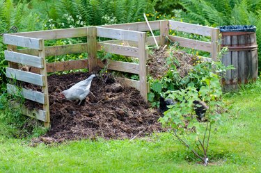 Nens working in the garden compost.