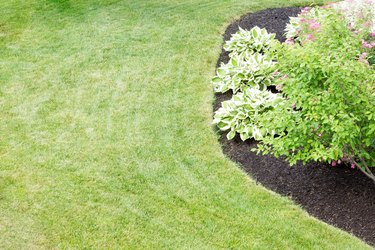 Mulched flowerbed in a neatly manicured green lawn