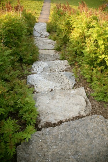 What to Plant Between a Flagstone Path | Hunker