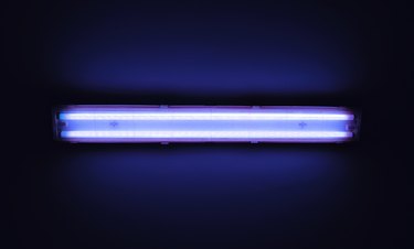 Detail shot of a fluorescent light tube on a wall.