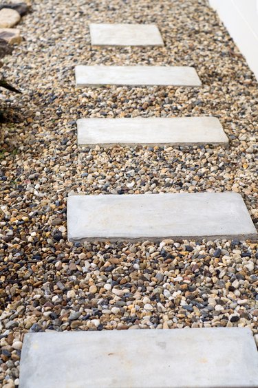 Garden Stone Steps to Backyard with Trees and Plants