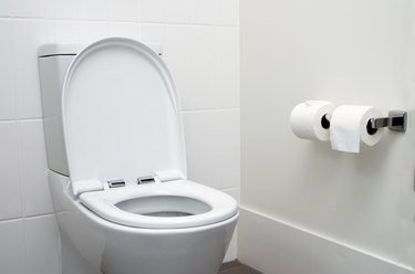 Toilet Bowl In Bathroom