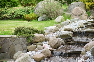 Creek in the garden