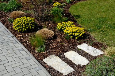 Euphorbia polychroma path through flowerbed using stepping stones made of marl sandstone bright colors blooming in flowerbed perennials yellow lawn bark edge paving concrete stepping stones