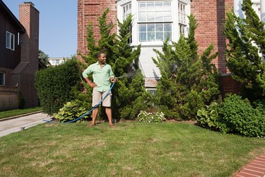 Man watering grass with hosepipe