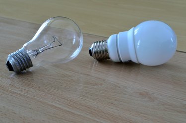 incandescent light bulb and compact fluorescent lamp