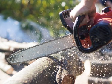 Cropped Image Of Hand Sawing Wood At Forest