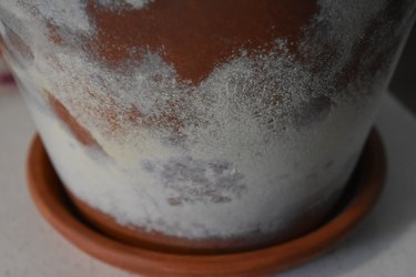 Clay Pot With Salt Buildup