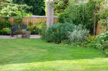 Garden with patio area, lawn and flowerbeds.