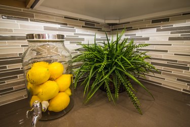 Glass Container And Plant On Granite Counter