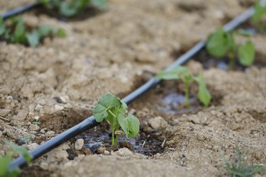 Drip irrigation system